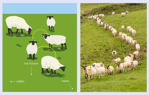 20260723-sheep-magnetic-spin