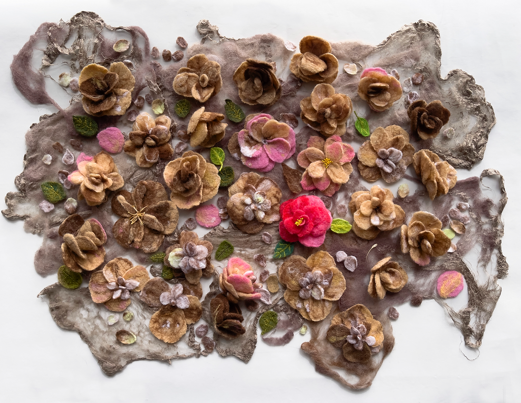 Pink Prairie Gentian