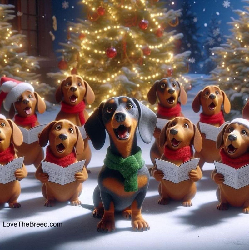 [Image: 1d6db814a5f80117a7fe9deb3f518df3.jpg]