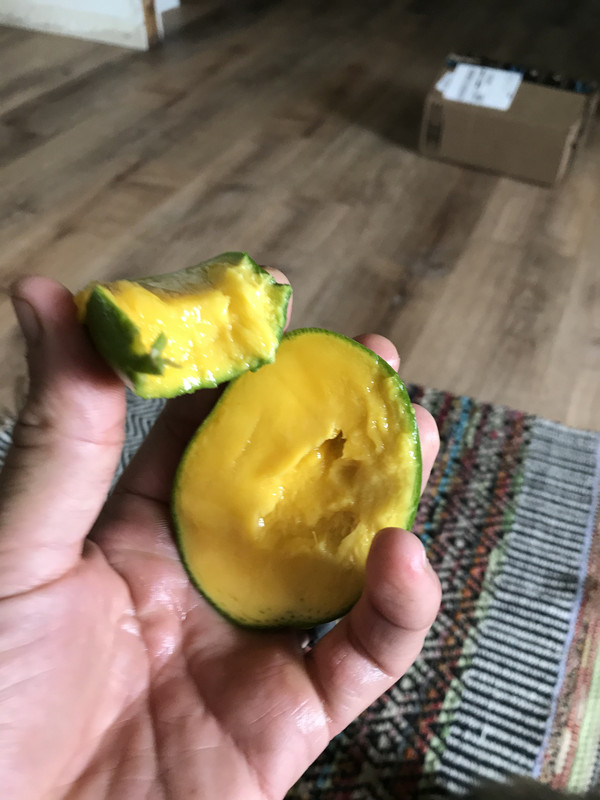 42781A9F-35F6-4781-B76C-68628D5600F6