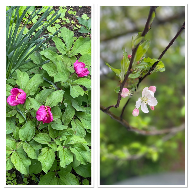 4803370B-1D93-4D20-BAFF-F326659B0147