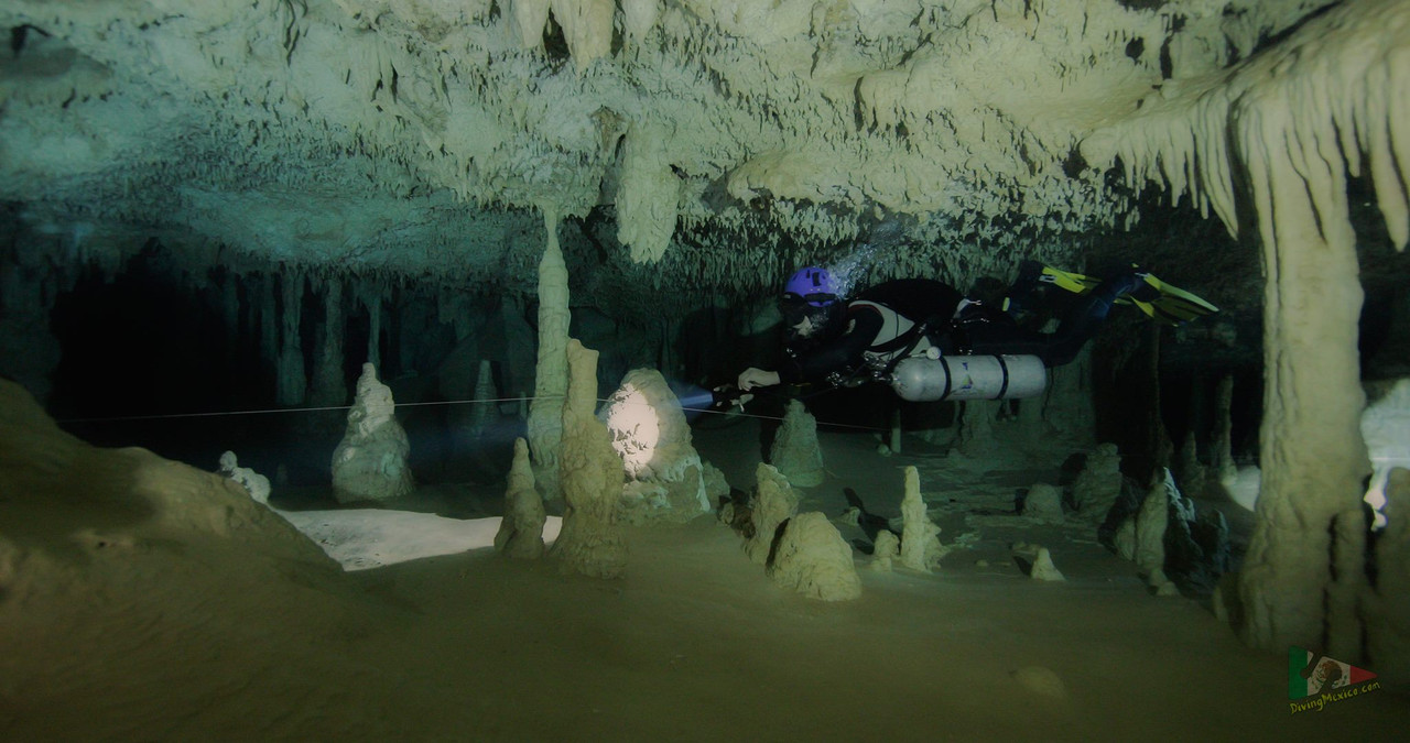 490372624 3896244080637282 3418818129459091712 n