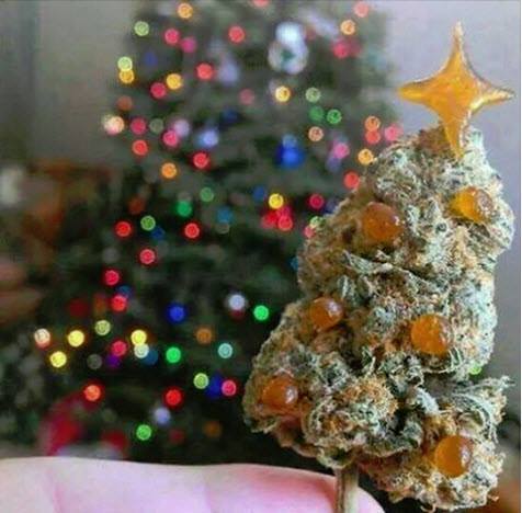 17098703_1845127439089627_4469046232467741818_n