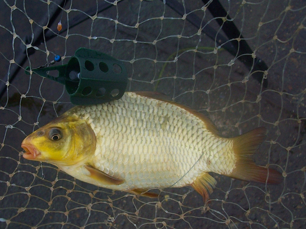 Добрянка30.09.13 04