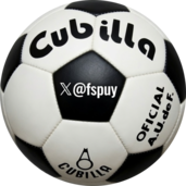 fspuy3mini