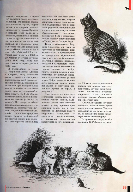 Друг кошек 2008-12-55