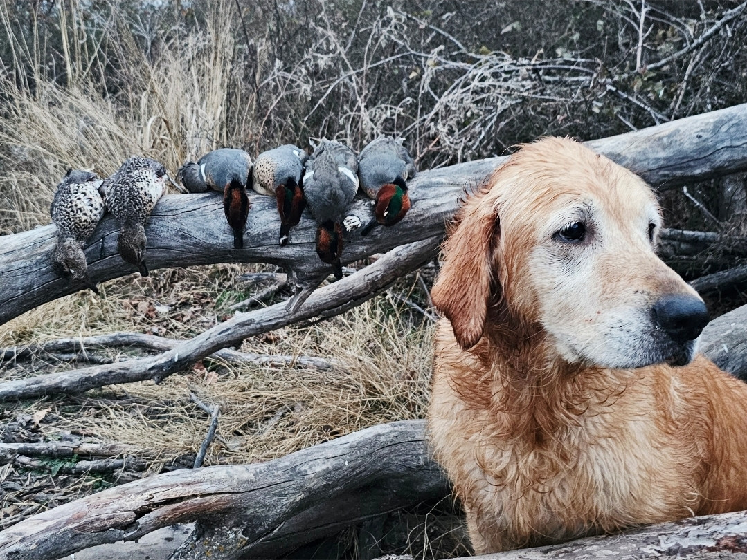 Screenshot 20260121 123609 Gallery