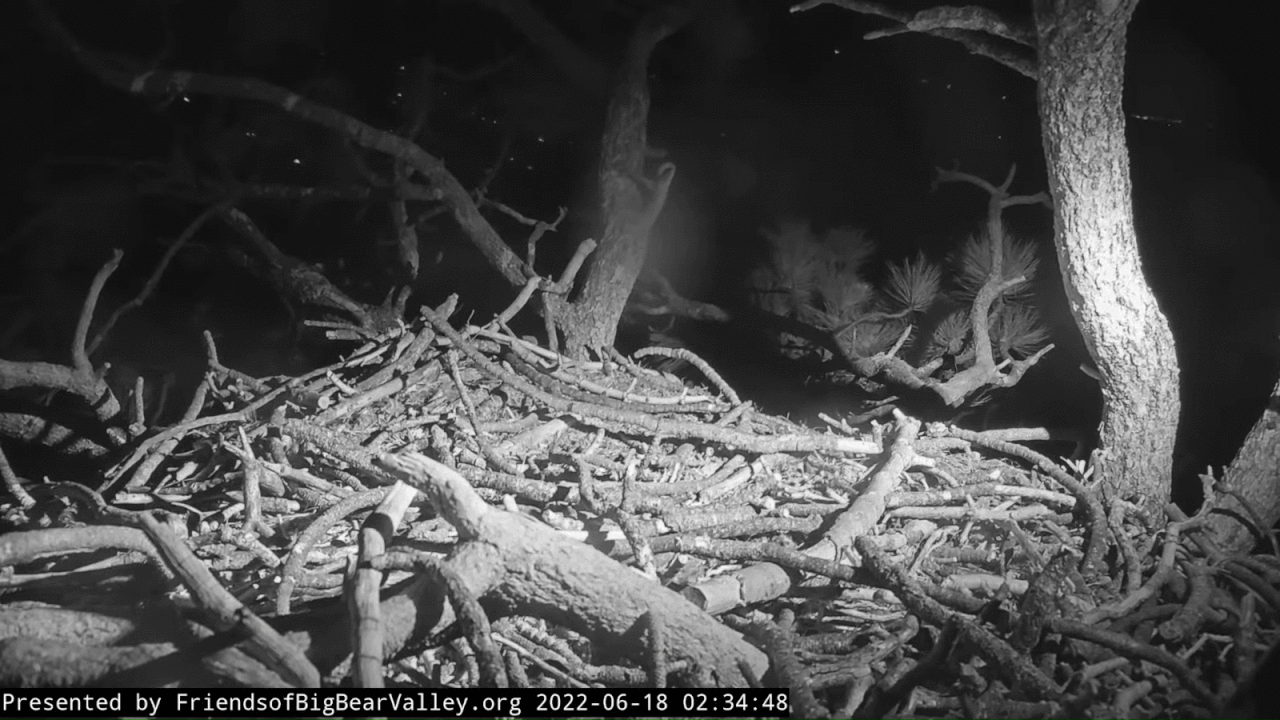 Webp.net-gifmaker (2)