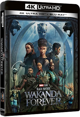 Black Panther: Wakanda Forever (2022) .mkv UHD Bluray Untouched 2160p AC3 iTA TrueHD ENG DV HDR HEVC - FHC