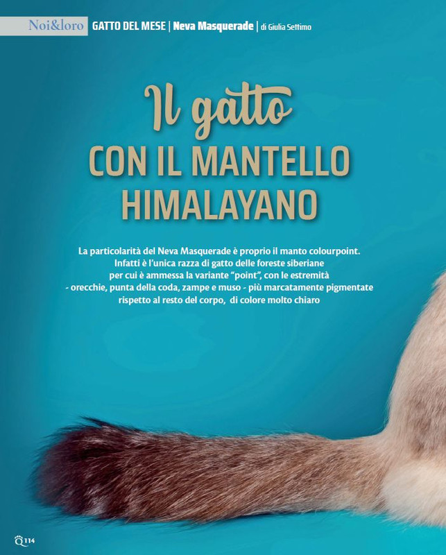 QuattroZampe Mag 2022 (11)