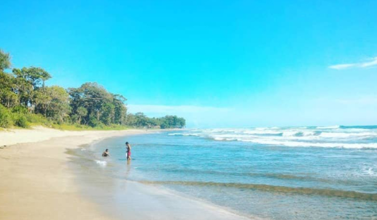 Keunikan Ekosistem Laut dan Penangkaran Penyu