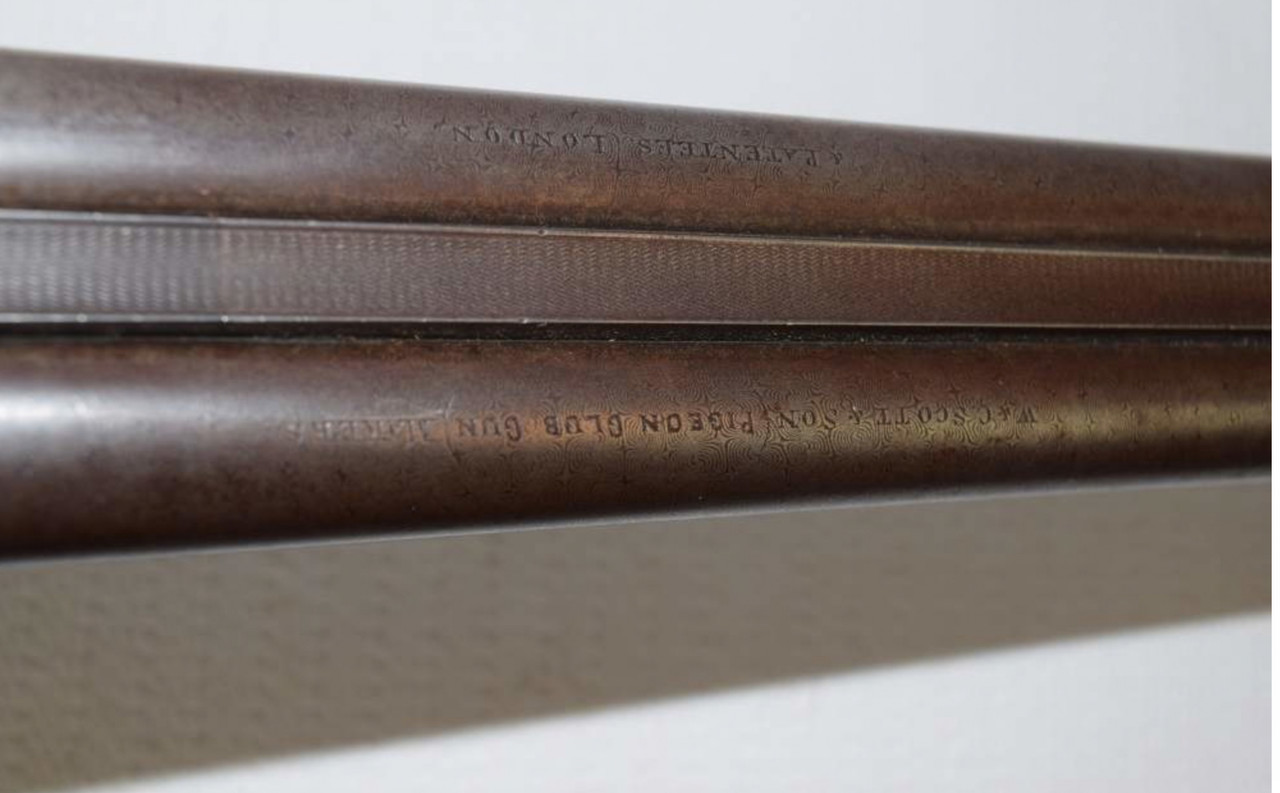 [Linked Image from i.postimg.cc]