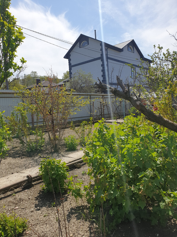 на рекламу главная