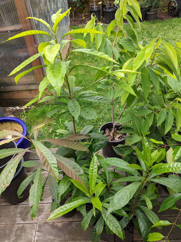 PXL_20231005_193509438