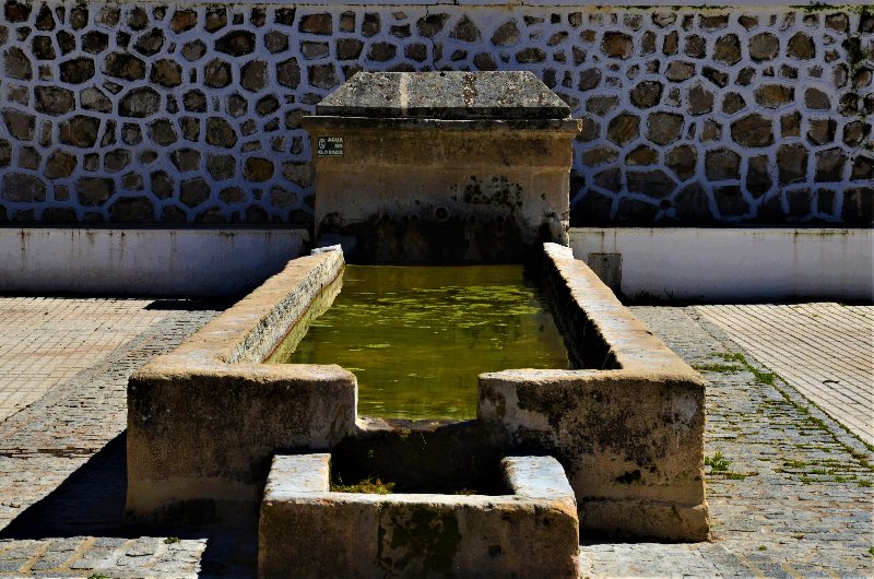 ALCALA DEL VALLE-7-3-2017-CADIZ - CADIZ Y SUS PUEBLOS-2017 (5)