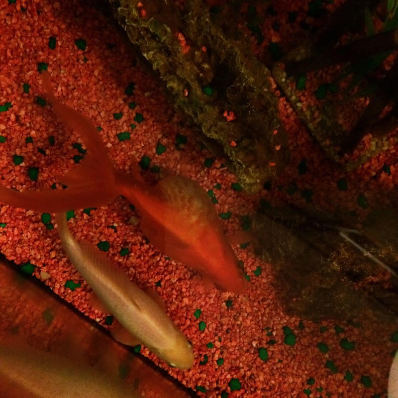 rtJWMpajIzFcbsAlHvYnkBtfSV282N9rZ3DgqGsGc3y5xmCv