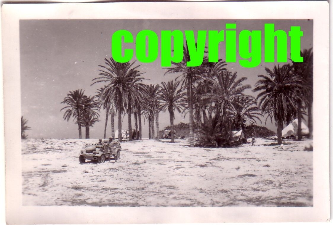 Orig.Foto Sdkfz Kübelwagen Kübel Afrika Dak , Pa