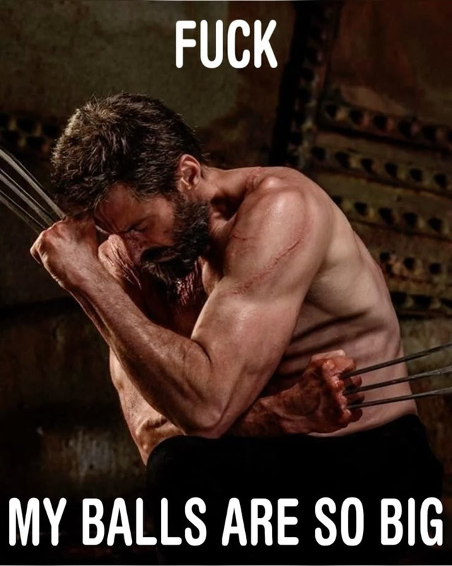 #wolverine #logan #deadpoolandwolverine #wolverinememe #meme #xmen_