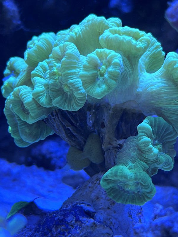 FD984E46-4DFE-45F2-84A0-462279635D6D