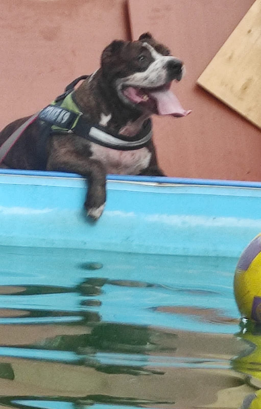 ECFB13FB-6EF5-44FB-8E0B-52020E16F830