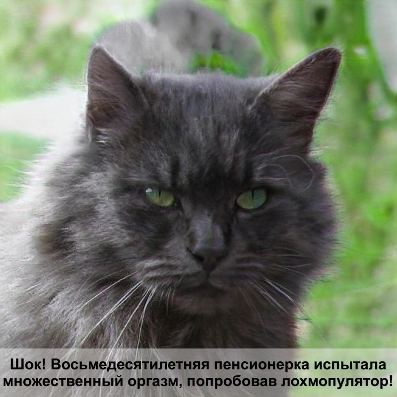 корм для кошек вискас