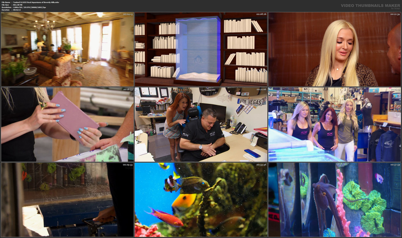 Tanked S11E03 Real Aquariums of Beverly Hills.mkv