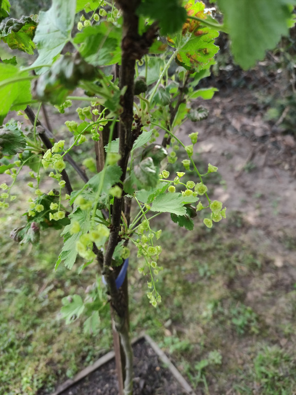 IMG-20240408-143656.jpg