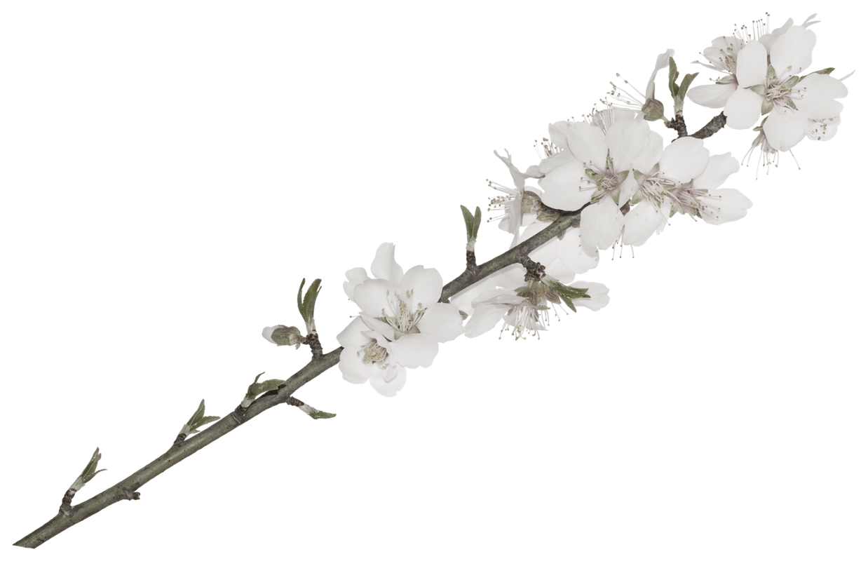 46