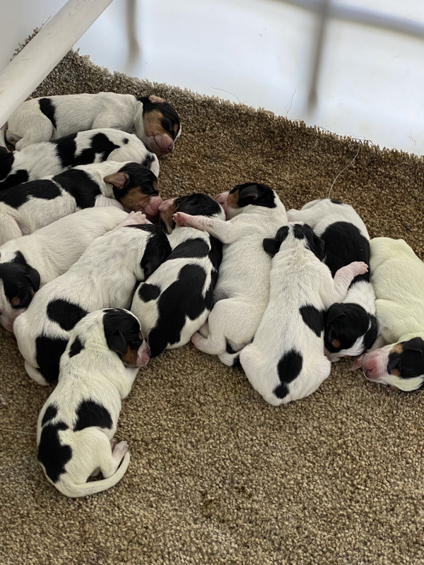 3CBAABCA-7F1F-4617-920D-7554F9AB2139