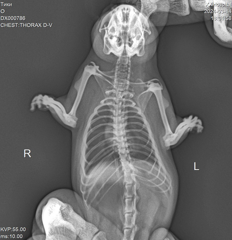 2C1DF9A1-44C3-437D-AEB7-E5FA1F10BD83