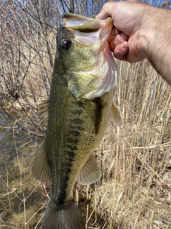 0E8D44A3-C03F-4942-AF73-7B10EB4C3756