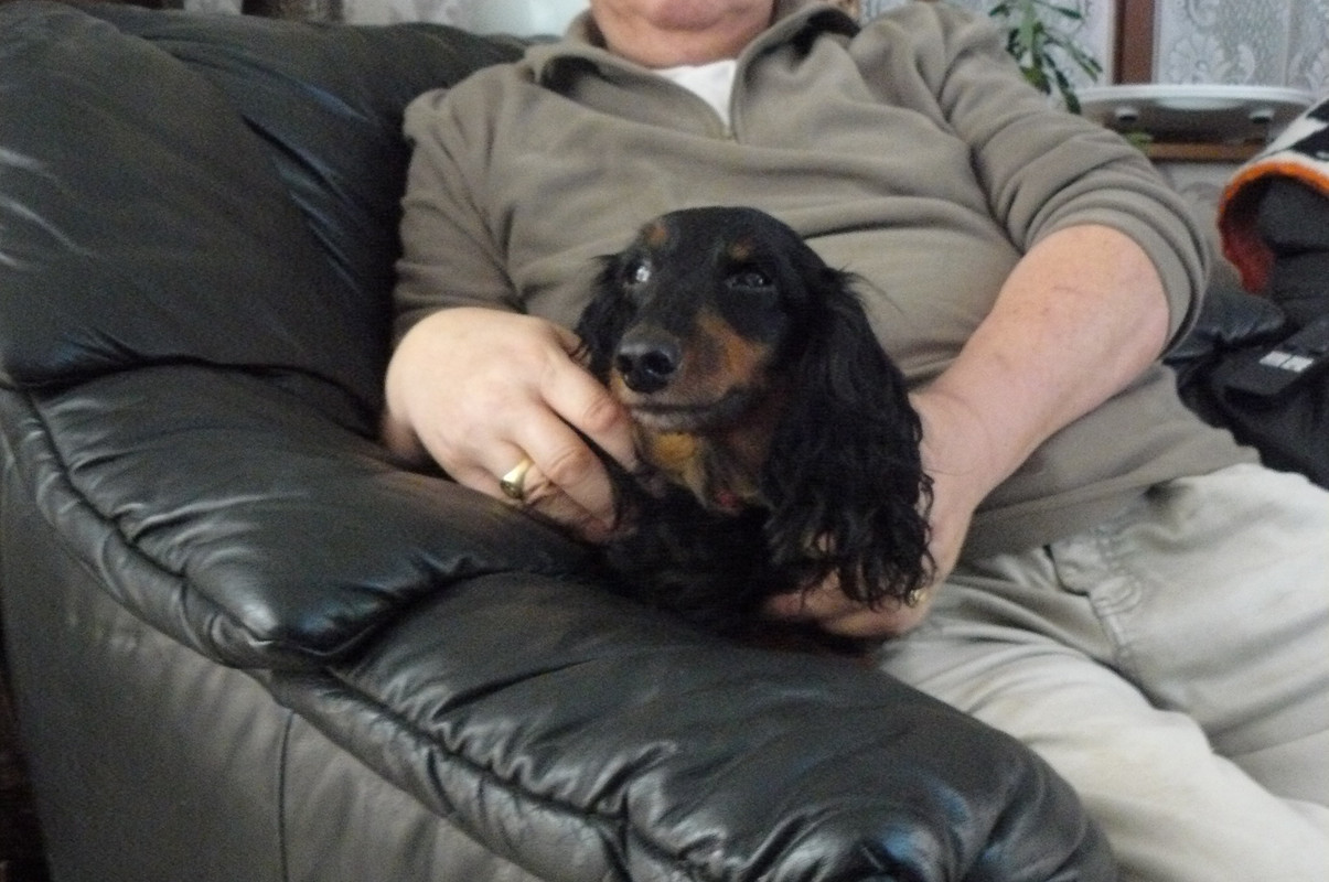 [Image: P1240691.jpg]