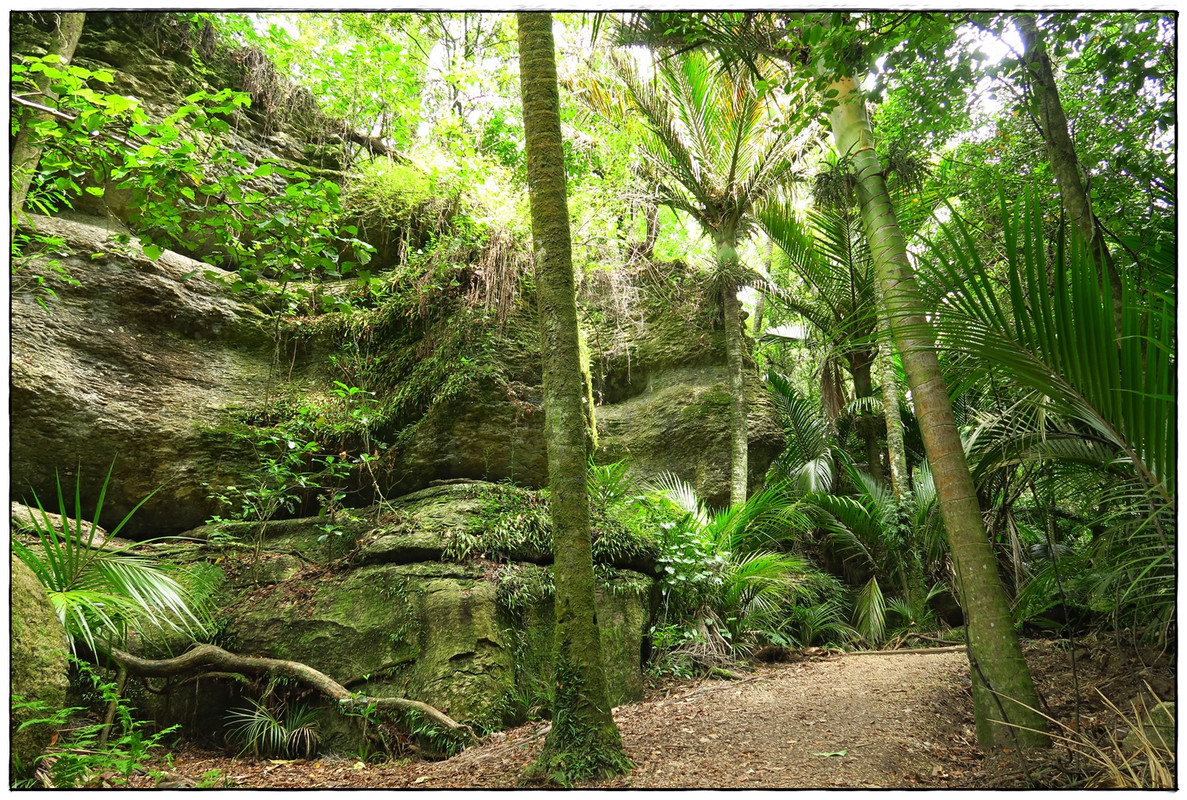 Escapadas y rutas por la Nueva Zelanda menos conocida - Blogs de Nueva Zelanda - Golden Bay (Navidad 2020, II) (35)