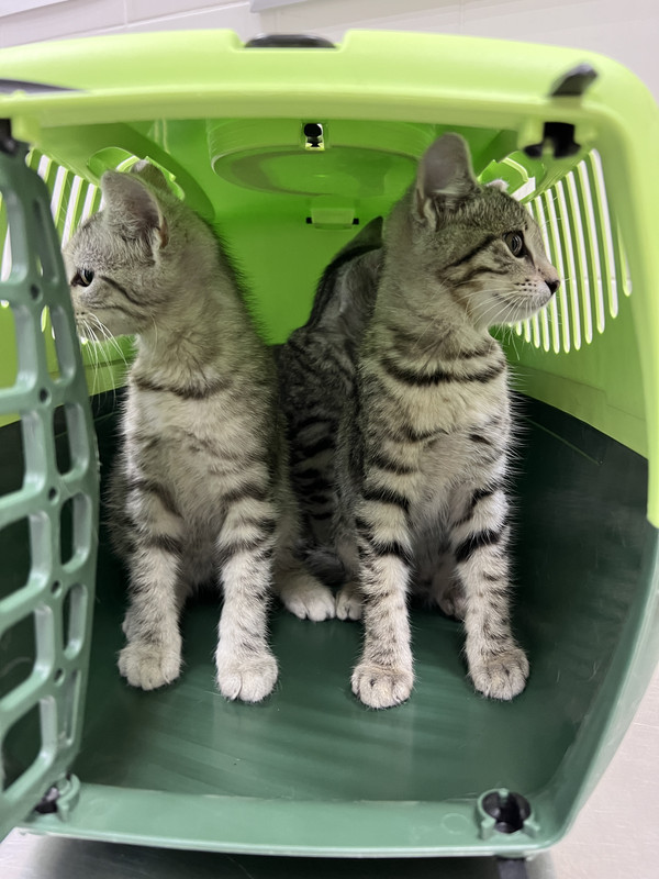 DB6B1820-4E1D-4690-AD04-4705069BDF7D