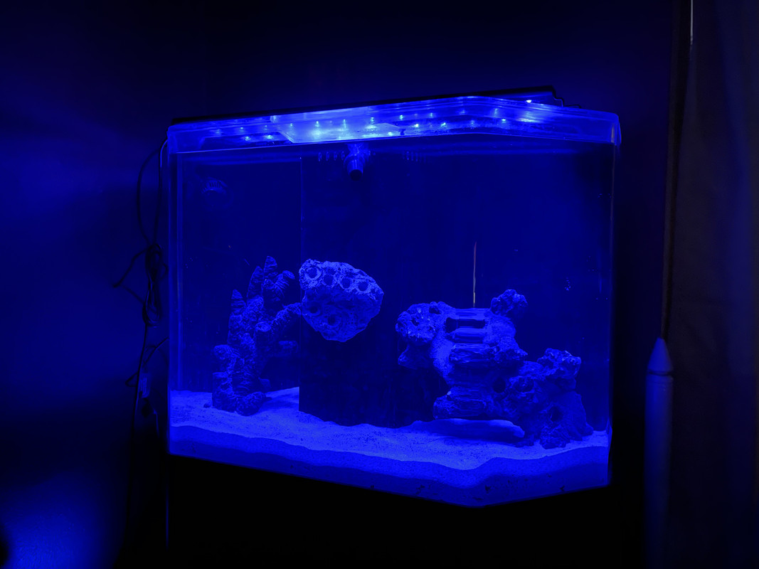 066F43F2-D49F-42B5-B9DC-58F6C06CE7C0