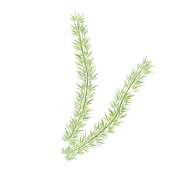 KBK_BunnyTrail (101)