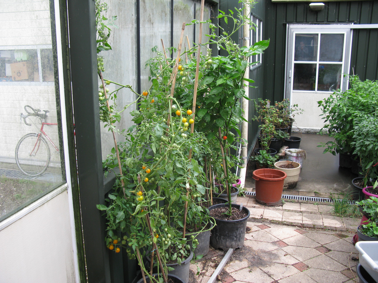IMG-4552.jpg