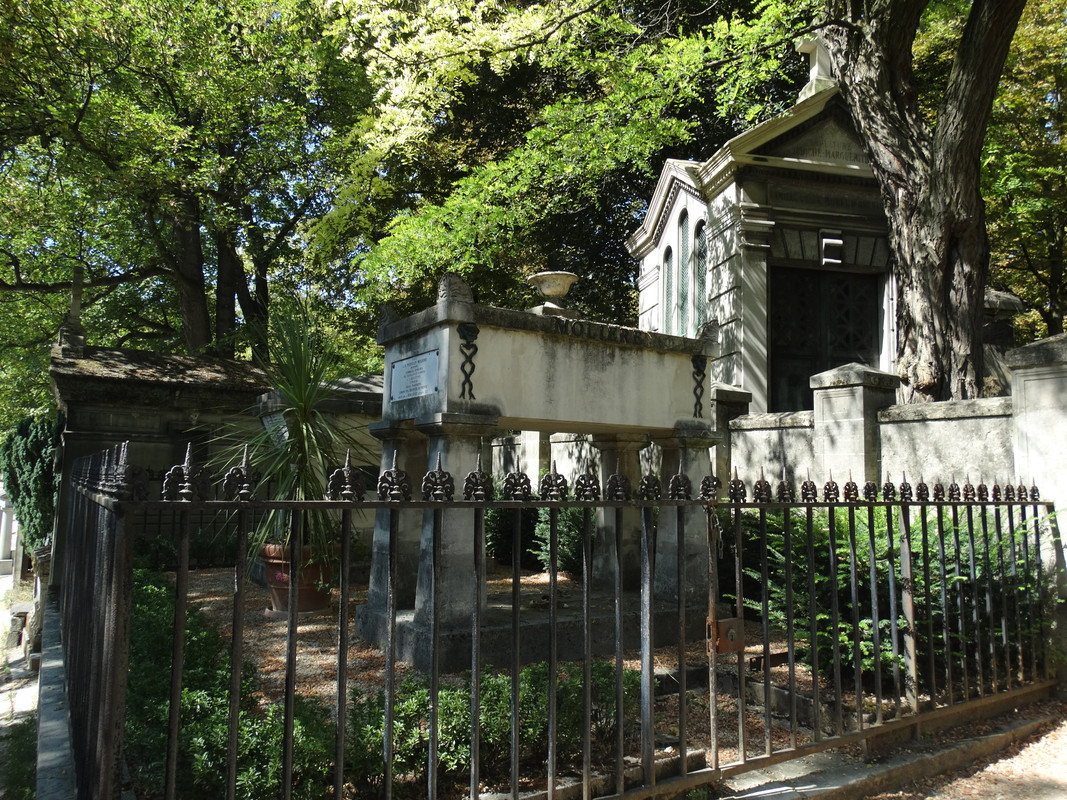 02.15 - DSC08441 (Czesio1)