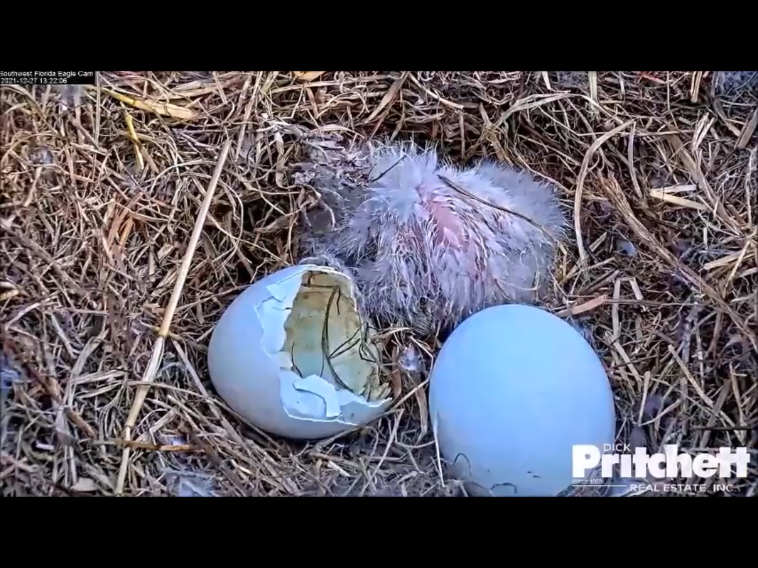 A5414913-AD96-464E-9FBF-98904CA94ECD