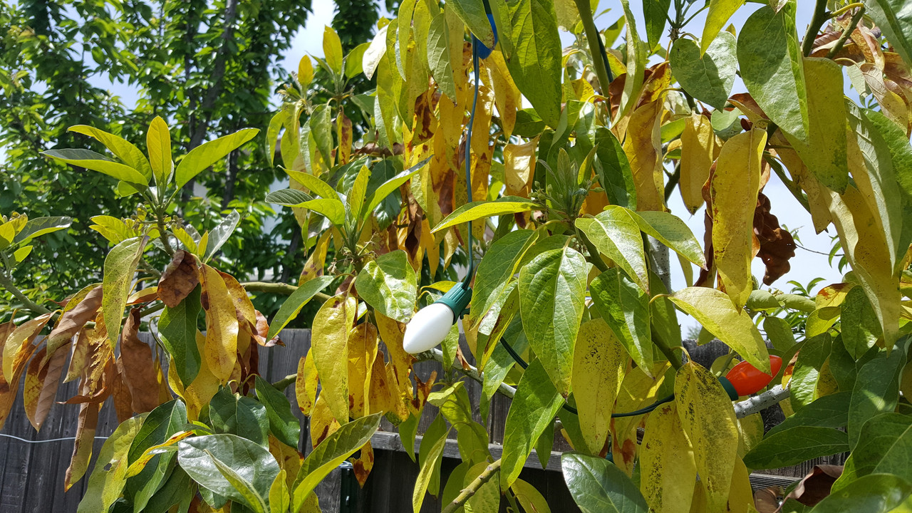 20180505_114935