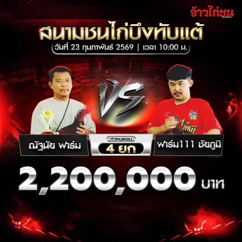 โปรแกรมไก่ชน สนามชนไก่บึงทับแต้ 23 กุมภาพันธ์ 2569 ณัฐนัย ฟาร์ม พบ ฟาร์ม 111 ชัยภูมิ ชิงเงิน 2,200,000 บาท