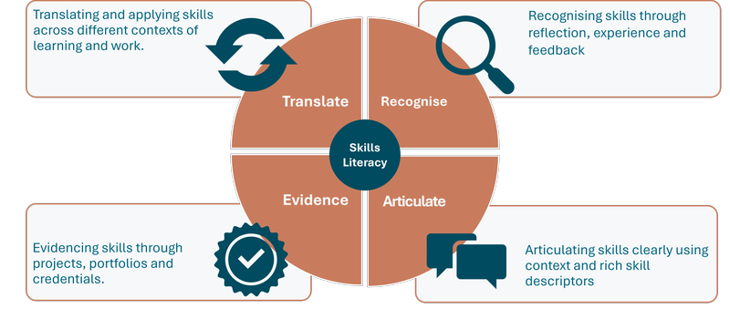 Skills literacy framework