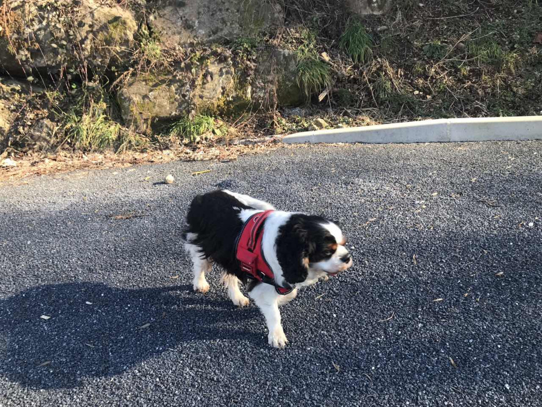 C05E1E6E-EEF7-4ADE-9091-E0427662B75B