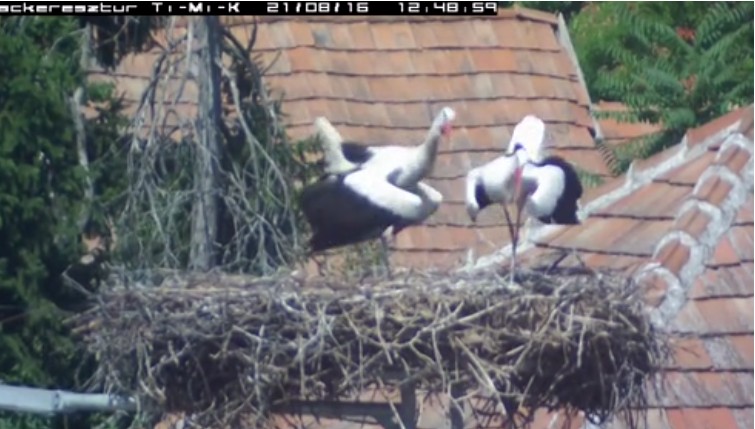 2021-08-16_125730riadóval érkeztek