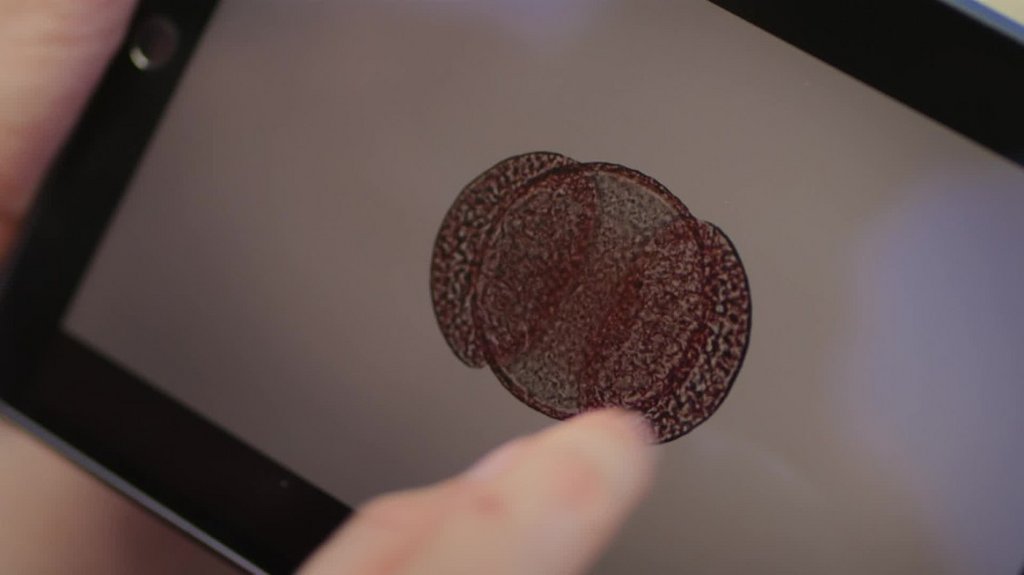 [Image: 82acuxfwpi66.jpg]