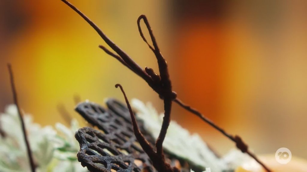 [Image: 92ayl7alt5sj.jpg]