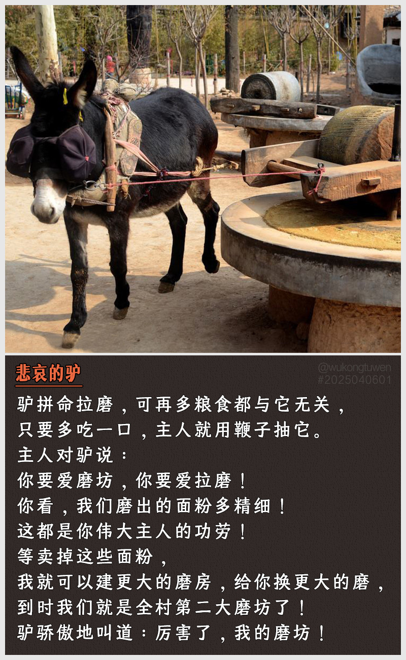 https://i.postimg.cc/9cFFqBM5/2025040601.jpg