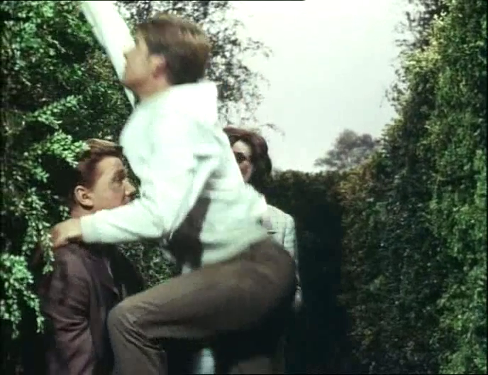 [Image: n000uabxdax7.png]