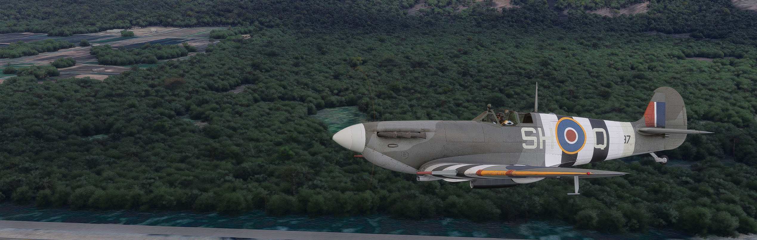 Spit-2024.jpg