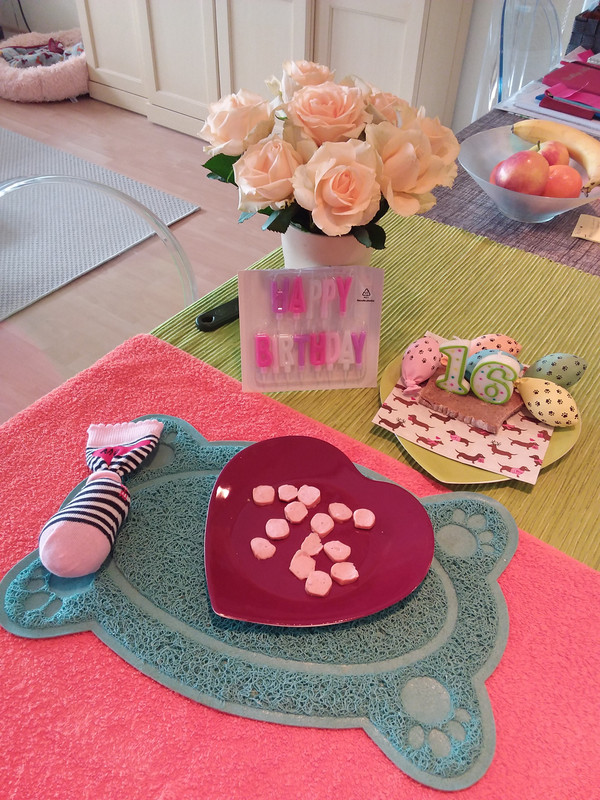 [Image: 20240312-120318.jpg]